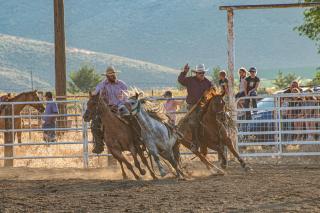 Rodeo