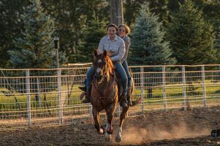 Rodeo