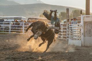 Rodeo