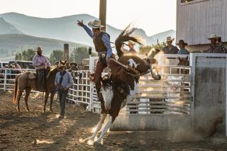 Rodeo