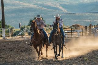 Rodeo